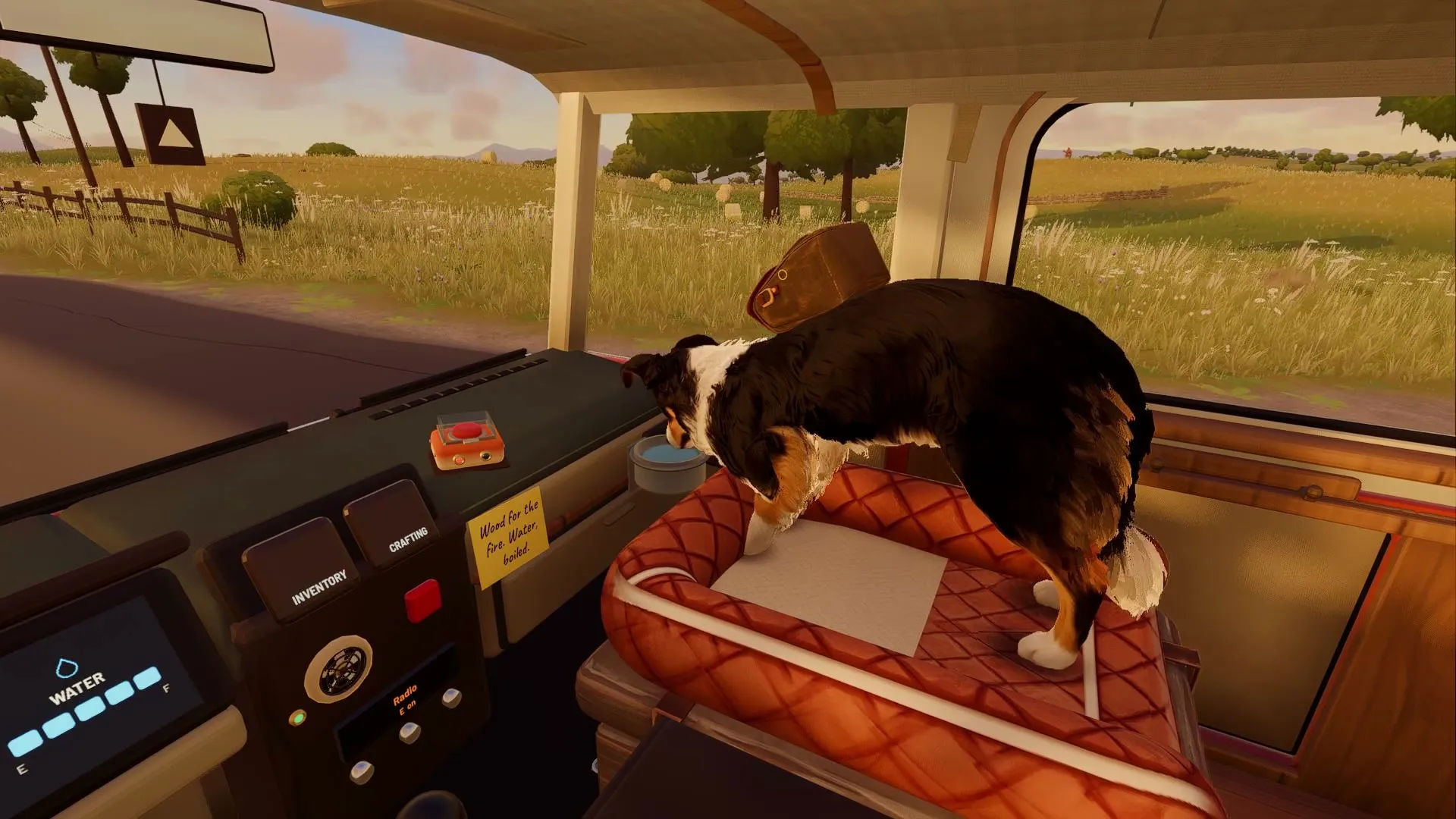 Milo drinking from his bowl in the cab