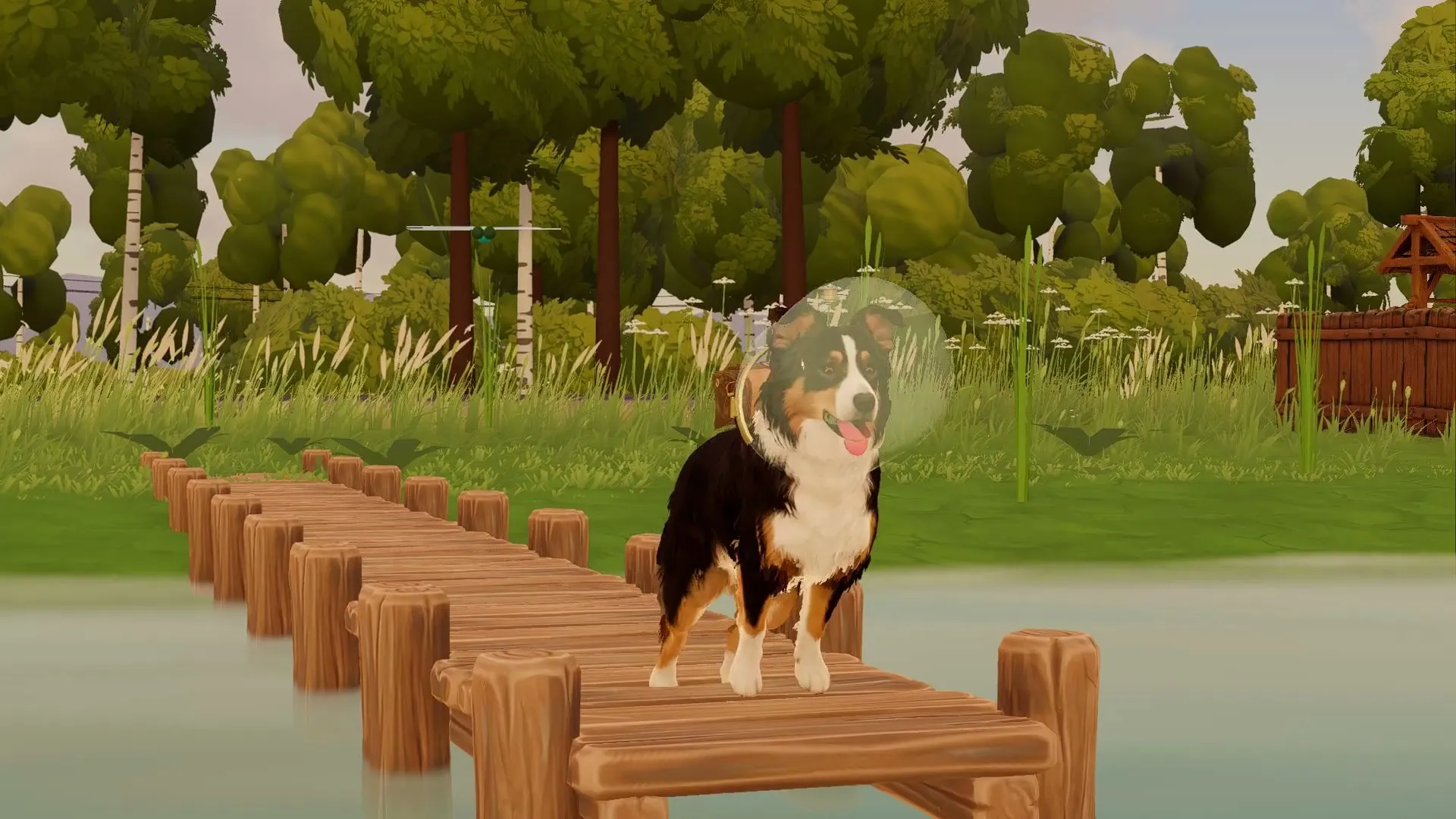 Milo in his scuba helmet on a wooden dock